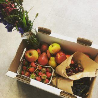 Obst Dienstag 