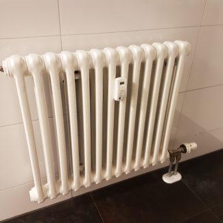 HEINEMANN GmbH – Fachbetrieb der Malerinnung Erfurt_Ricarda-Huch-Haus (25) 