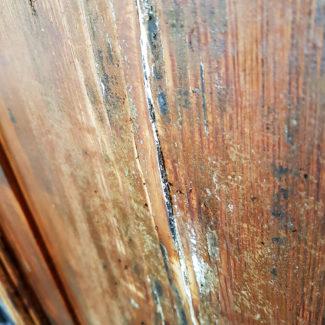 HEINEMANN GmbH – Fachbetrieb der Malerinnung Erfurt_Ricarda-Huch-Haus (39) 