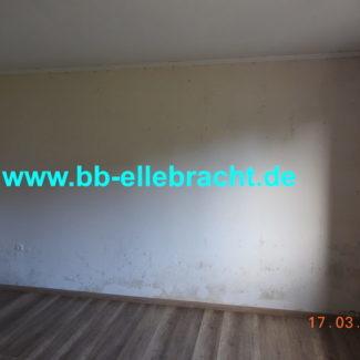 Bausachverständiger Schimmel Kopie 