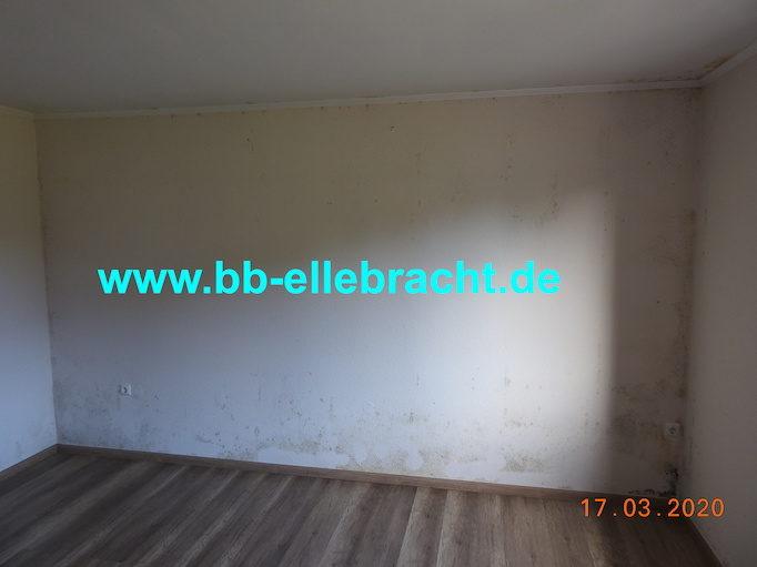Bausachverständiger Schimmel Kopie