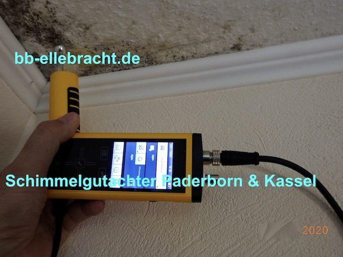 Schimmelgutachter Kassel Kopie 4
