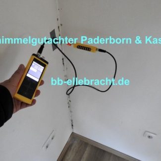 Schimmelgutachter Paderborn Kopie 6 