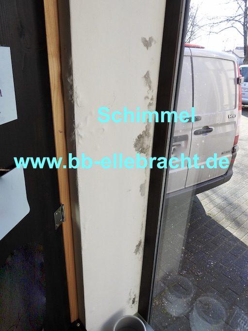 Schimmelgutachter Schwarzschimmel Kassel Paderborn