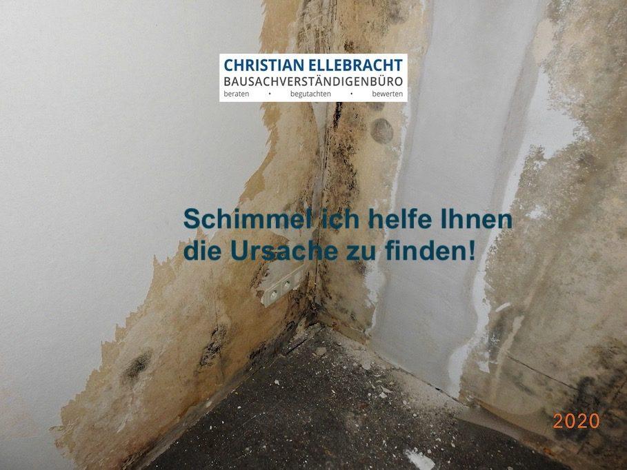 Wohnungsschimmel Kopie