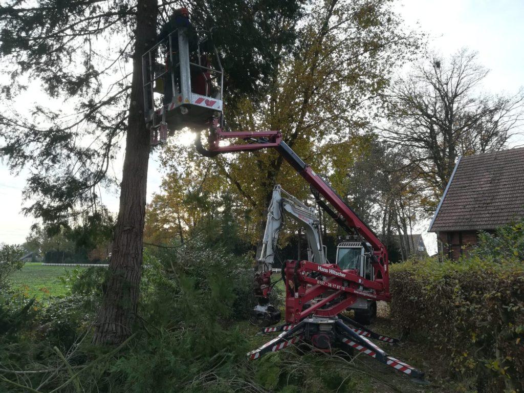 125462035_5211789432168162_5290237977960181586_n